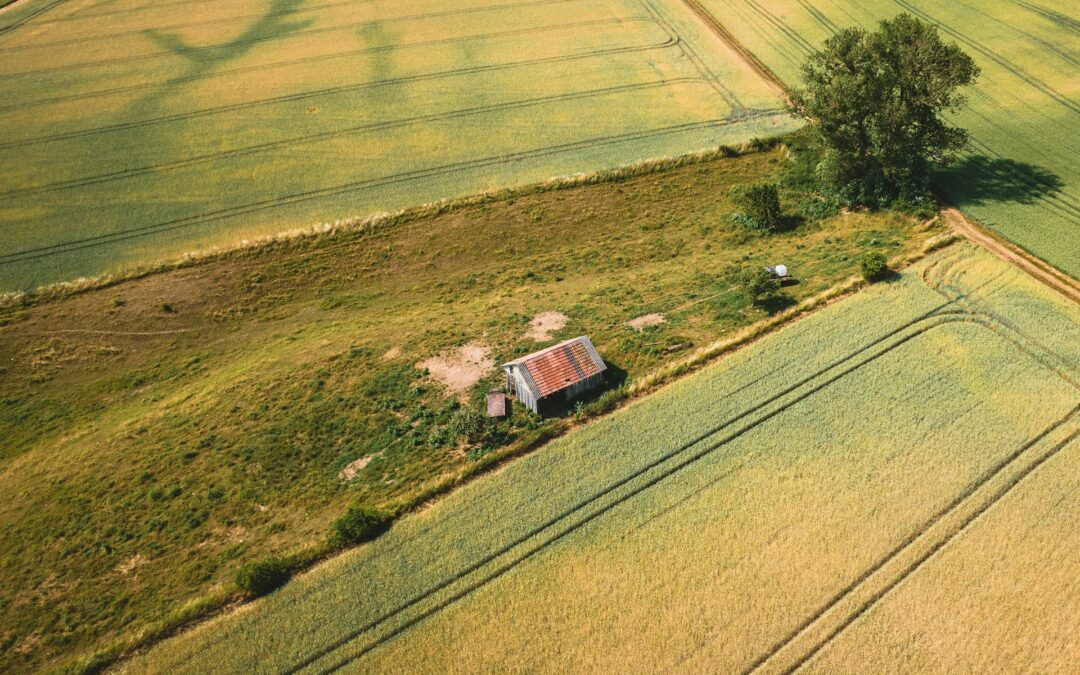 agricultural drone