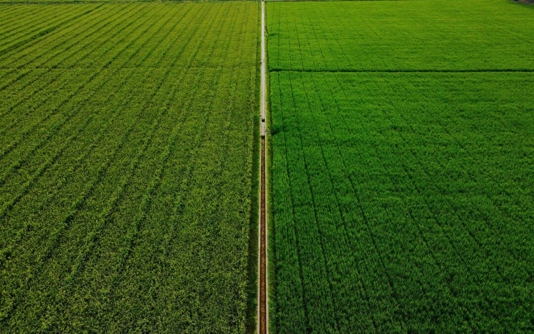 field drone
