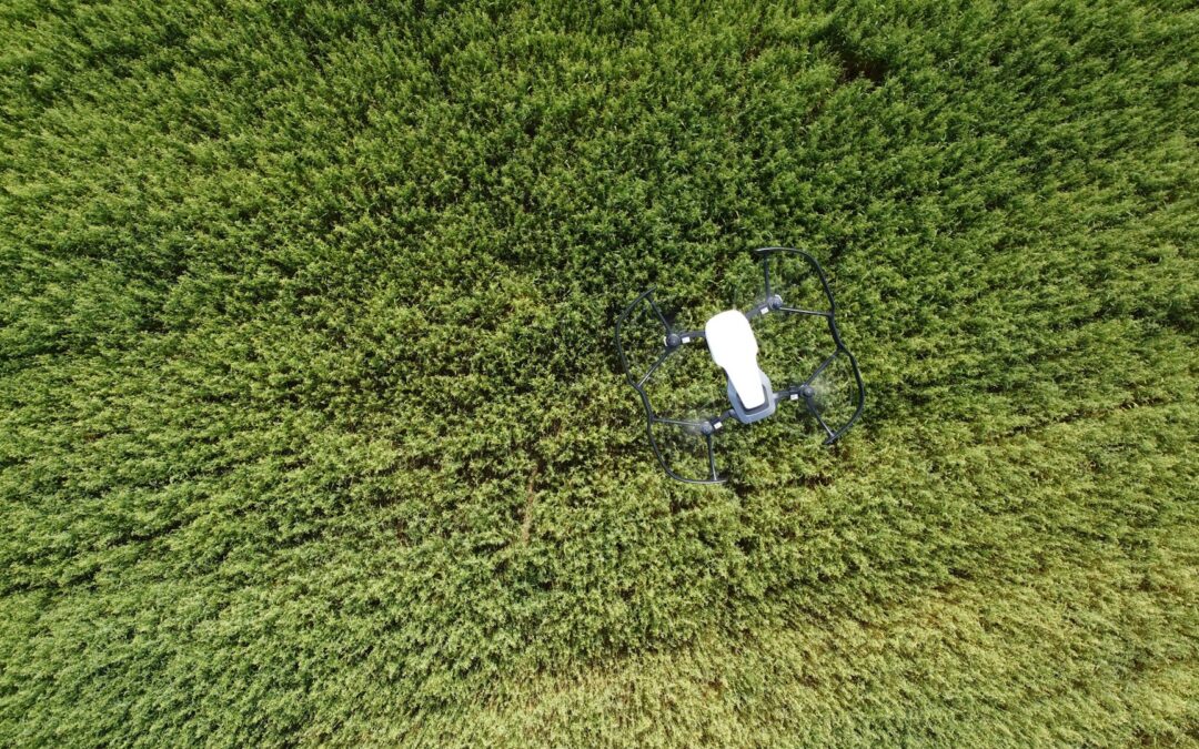 drone field