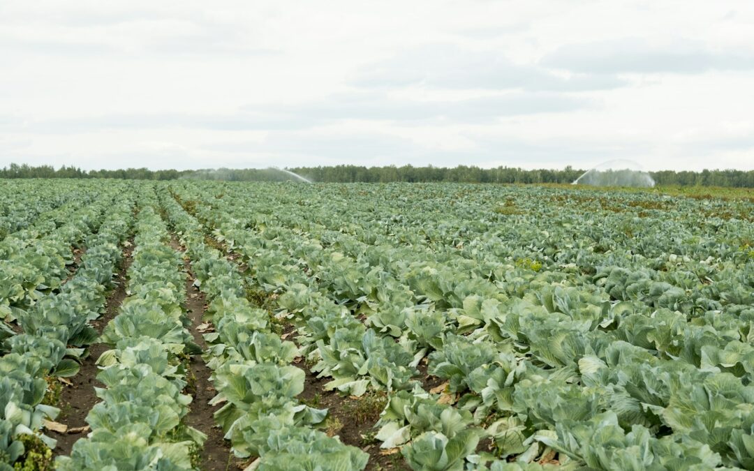 farm crops